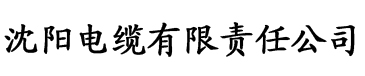 app菠萝电缆厂logo